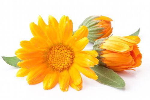 Olio di fegato del merluzzo da eczema su mani