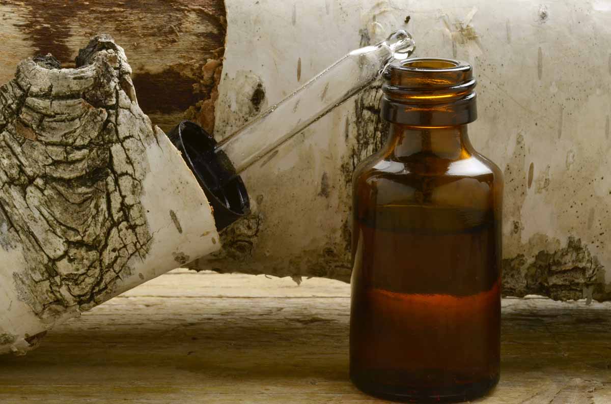 La posizione di eczema chi si è conservato