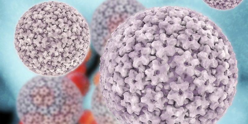 Papilloma virus - 3d rendered illustration