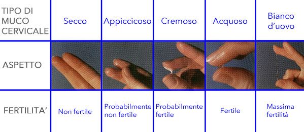 Trattamento chirurgico di osteomyelitis di una spina dorsale