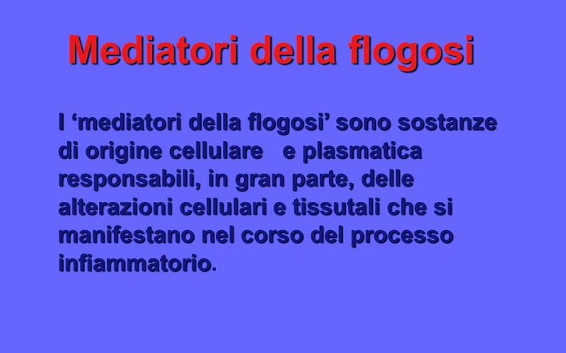 Flogosi Cronica Granulomatosa Gigantocellulare Del Derma