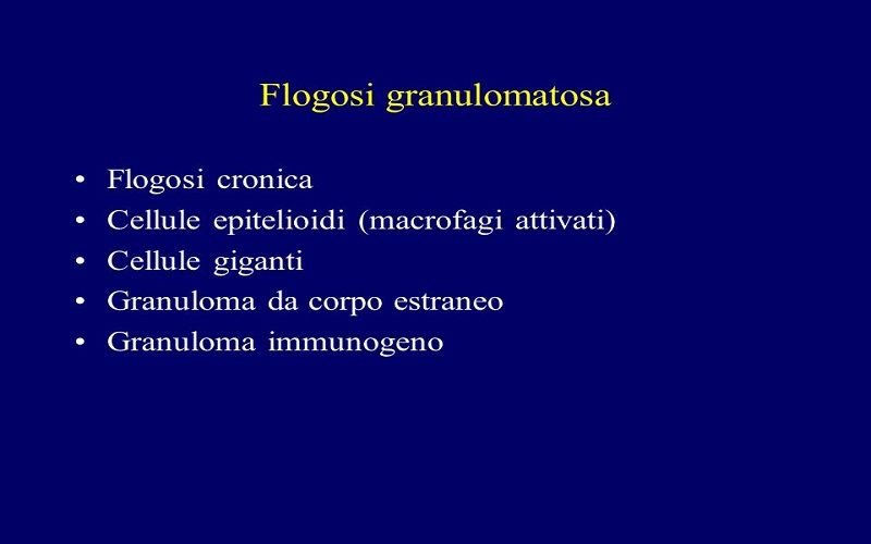 Flogosi Cronica Granulomatosa Gigantocellulare Del Derma