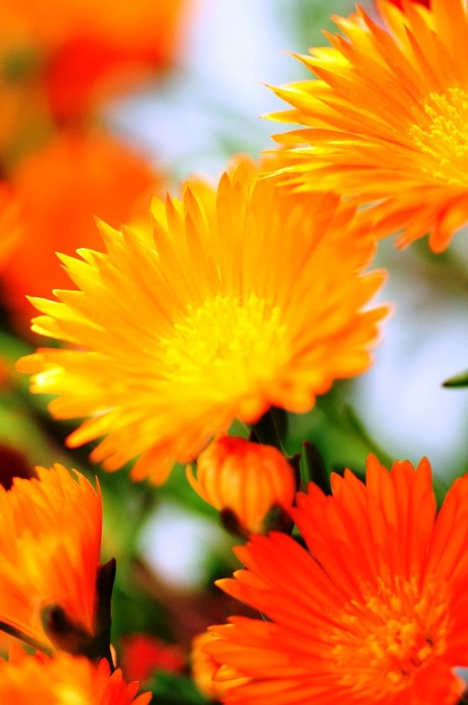 ????????????????????????????????????