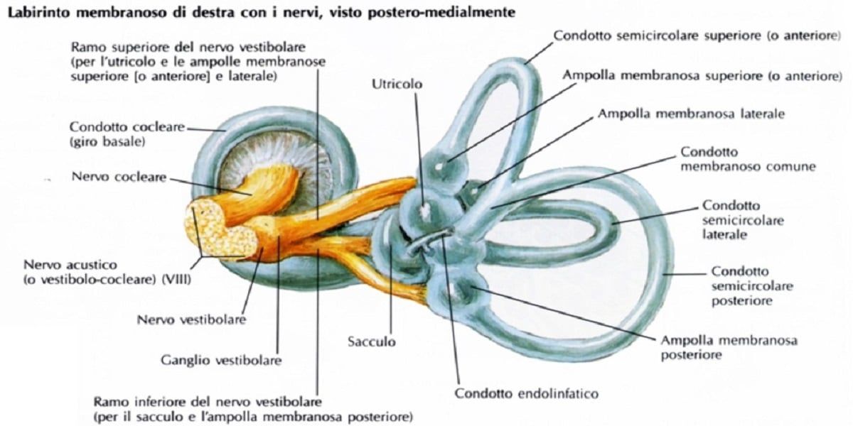 Esercizi contro dizzinesses a osteochondrosis cervicale
