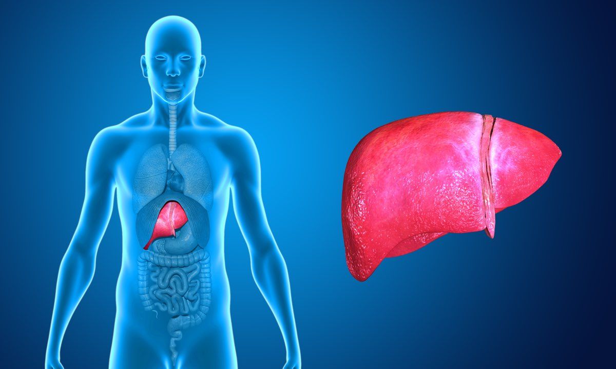 Tumore Al Pancreas Quanto Si Vive