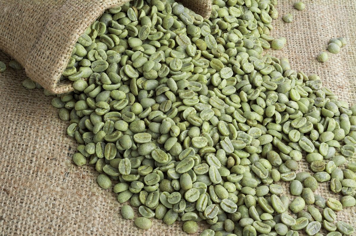 Caffè verde