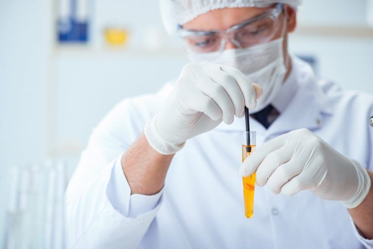 Glicosuria, quando ci sono gli zuccheri nelle urine INRAN.IT