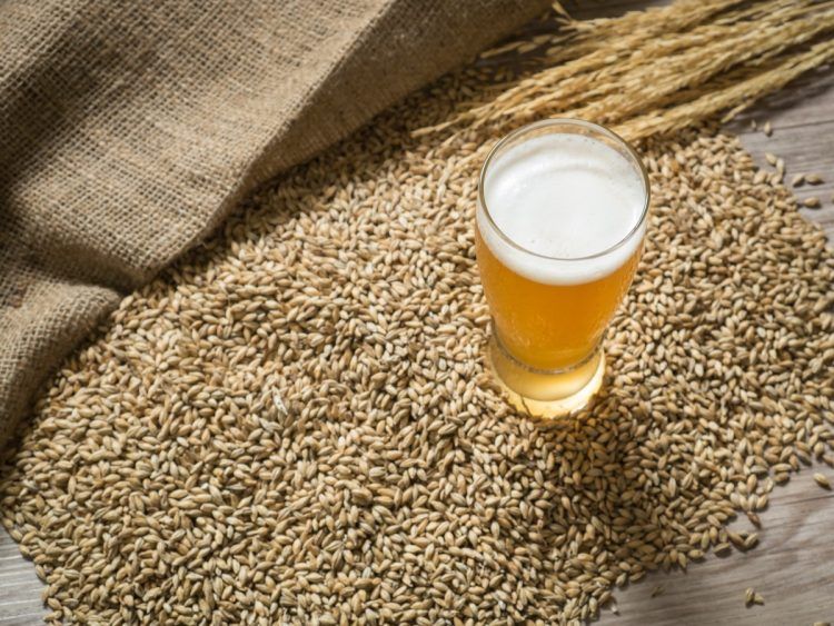 come perdere peso bevendo lievito di birra