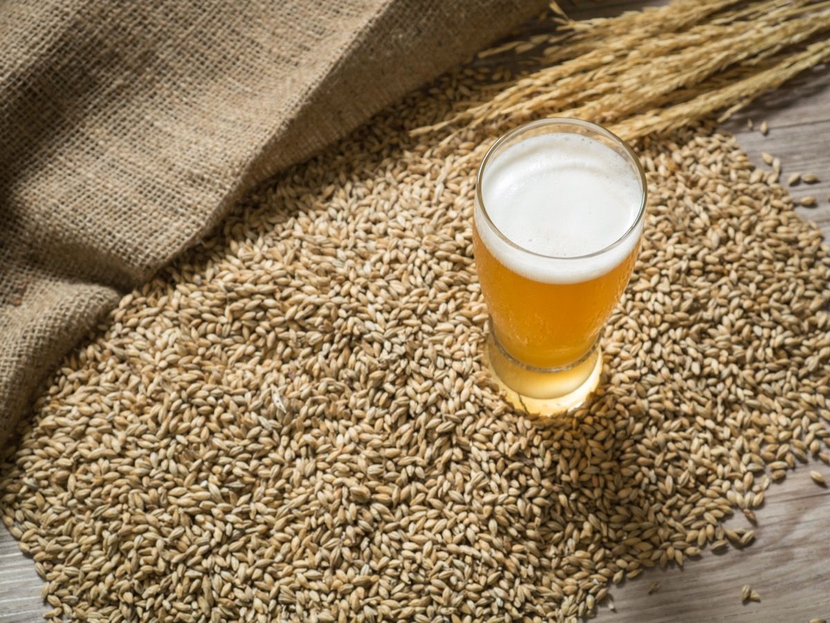 lievito di birra