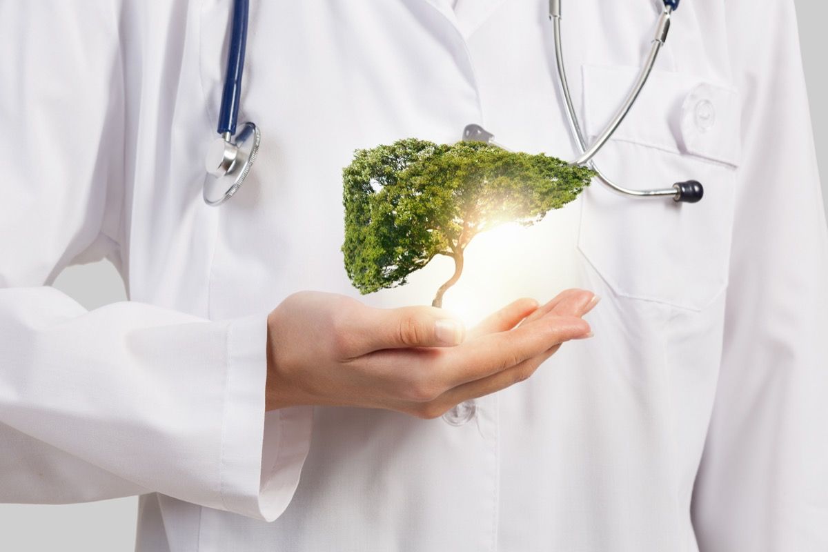 Come Depurare Il Fegato Con Metodi Naturali