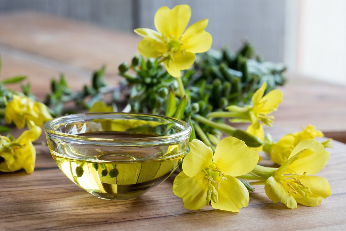 Olio di enotera