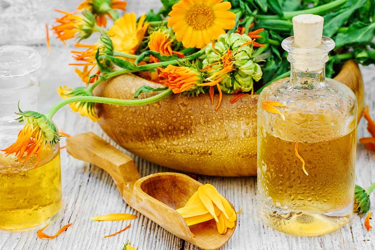 Proprietà e caratteristiche della tintura madre di calendula