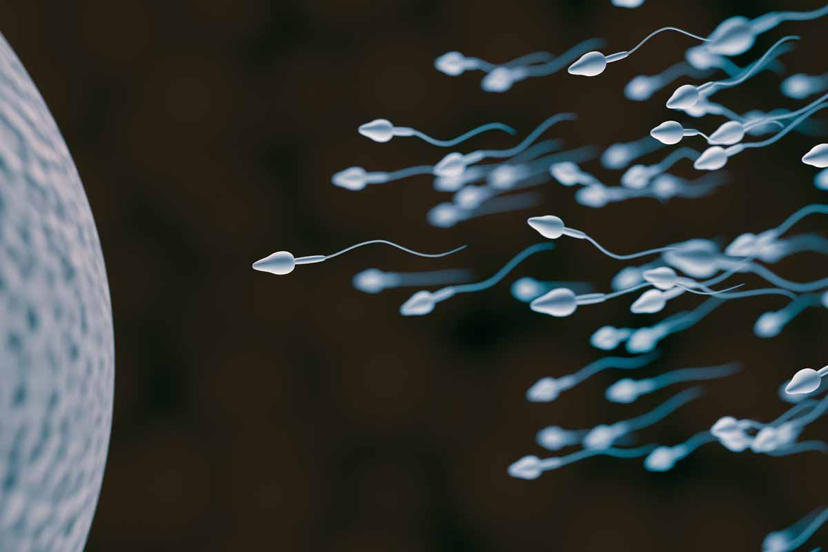 Astenozoospermia Astenozoospermia
