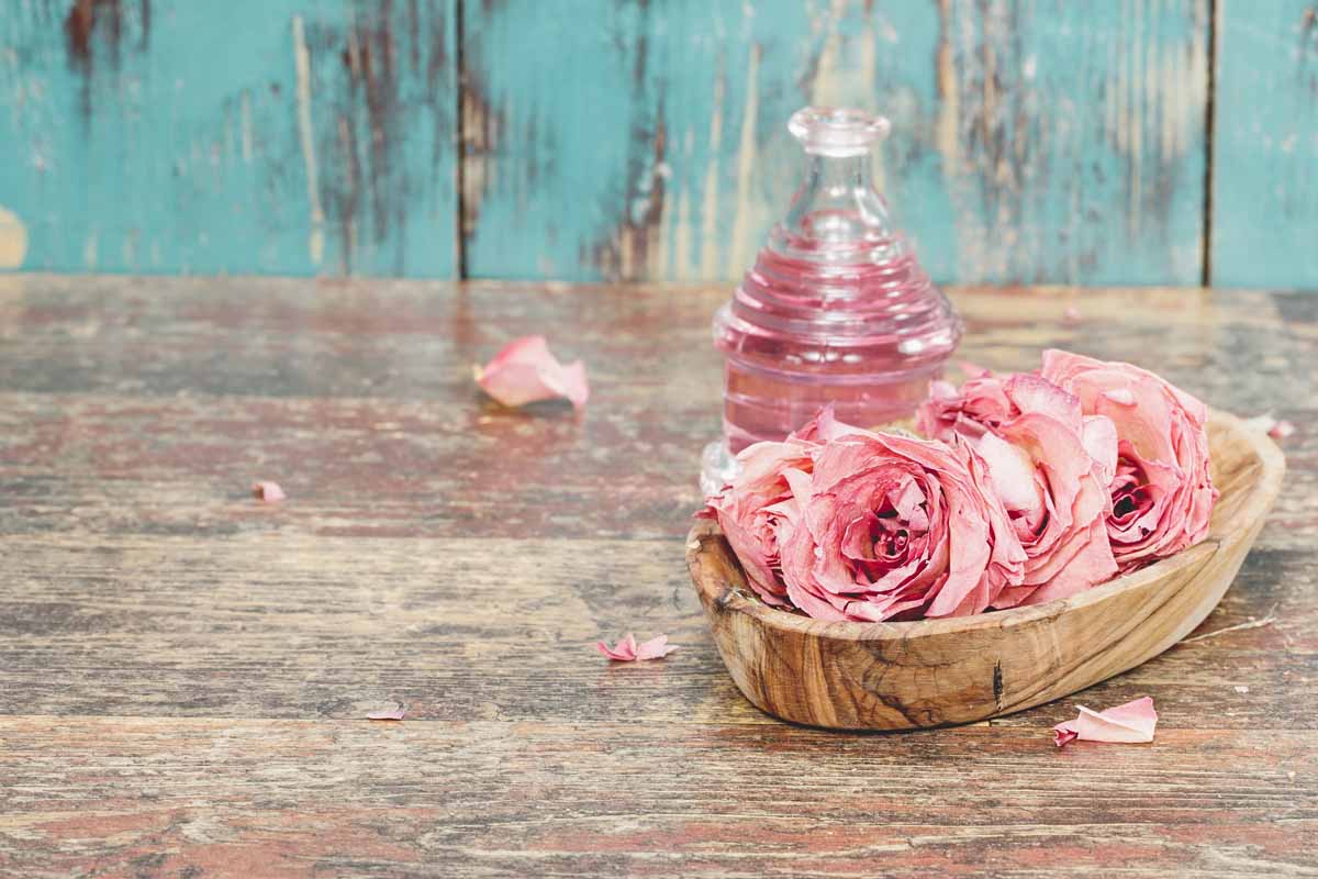 L’olio di rosa mosqueta puro e le sue applicazioni