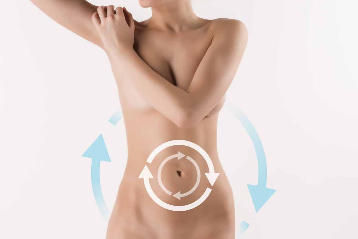 Metabolismo lento Metabolismo lento
