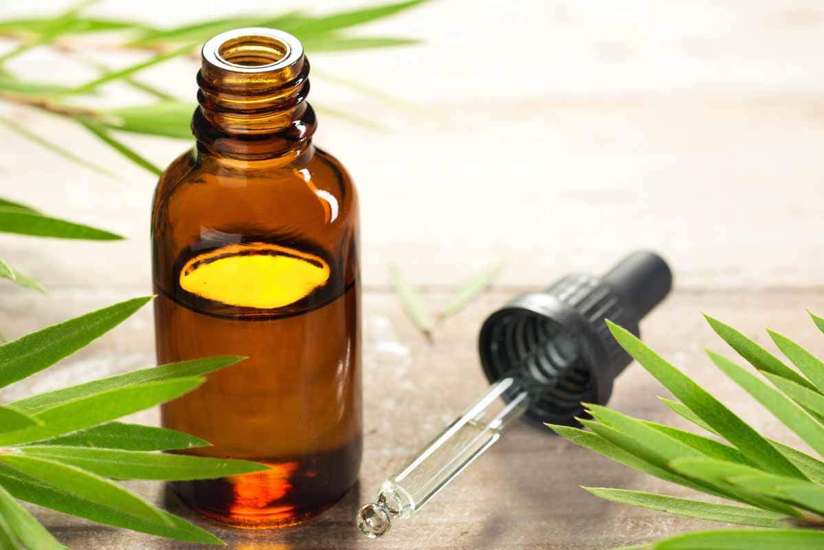 Olio di melaleuca Olio di melaleuca