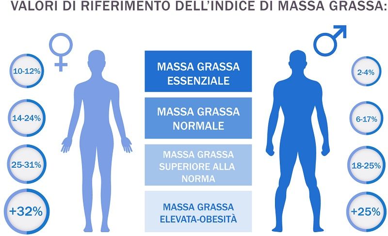 Come Calcolare La Massa Magra I Valori Da Controllare Inran