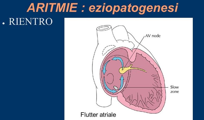 PAROSSISTICA SIGNIFICATO SCARICA