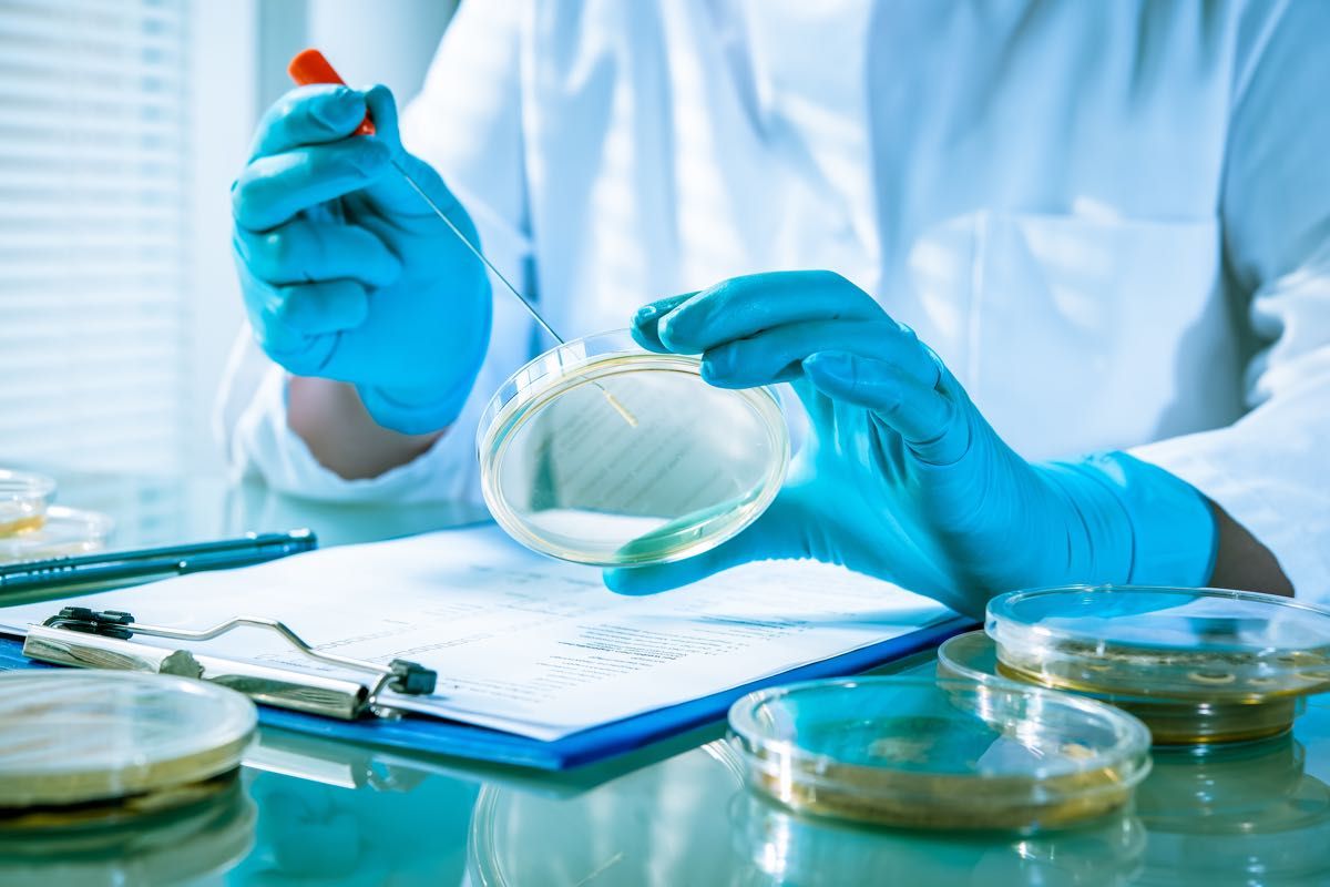 Cause della trasmissione di escherichia coli