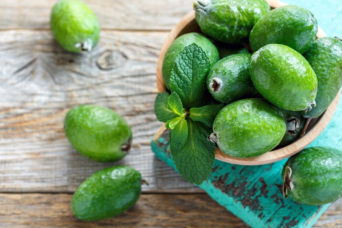 altre curiosità sulla feijoa 