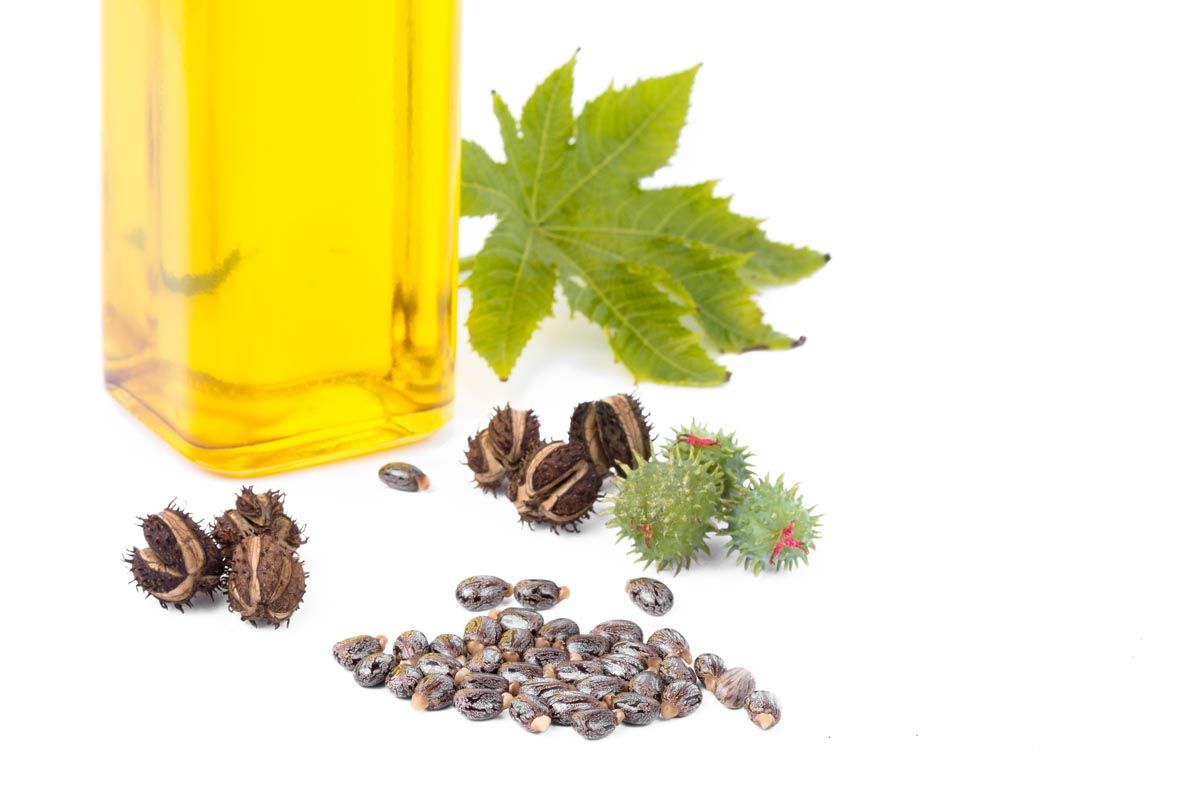 Olio di ricino