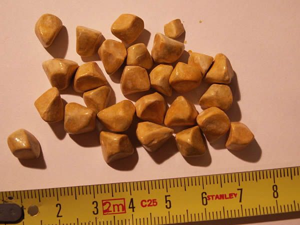 calcoli-biliari-2