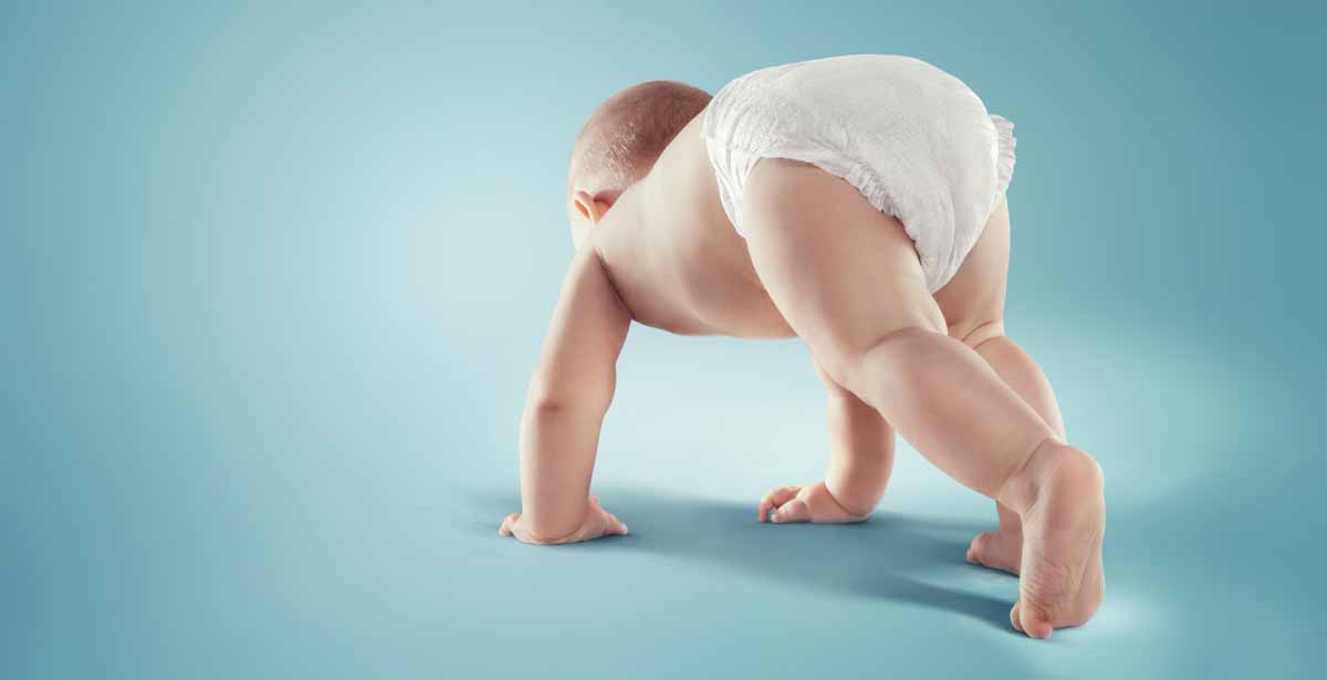 Linea Pampers Progressi