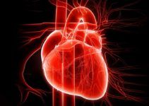 Trattamento di fame di thrombophlebitis
