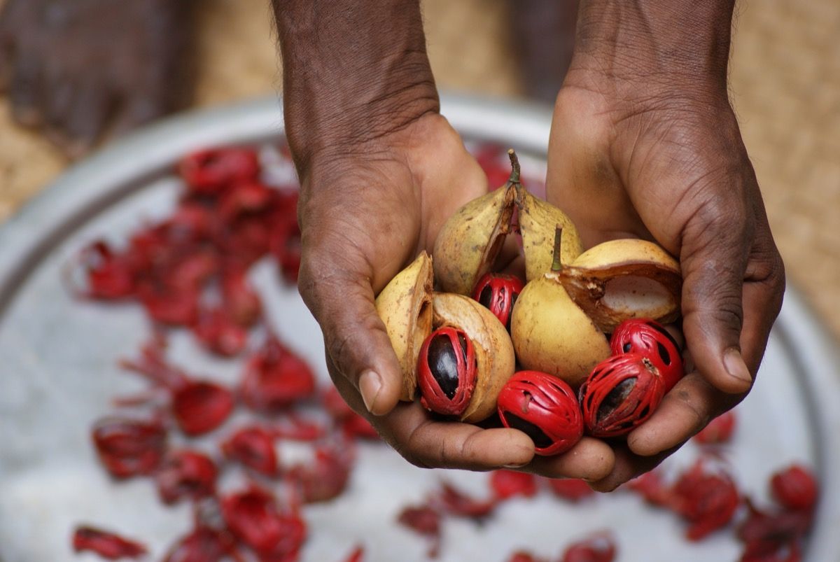 garcinia cambogia effetti indesiderati