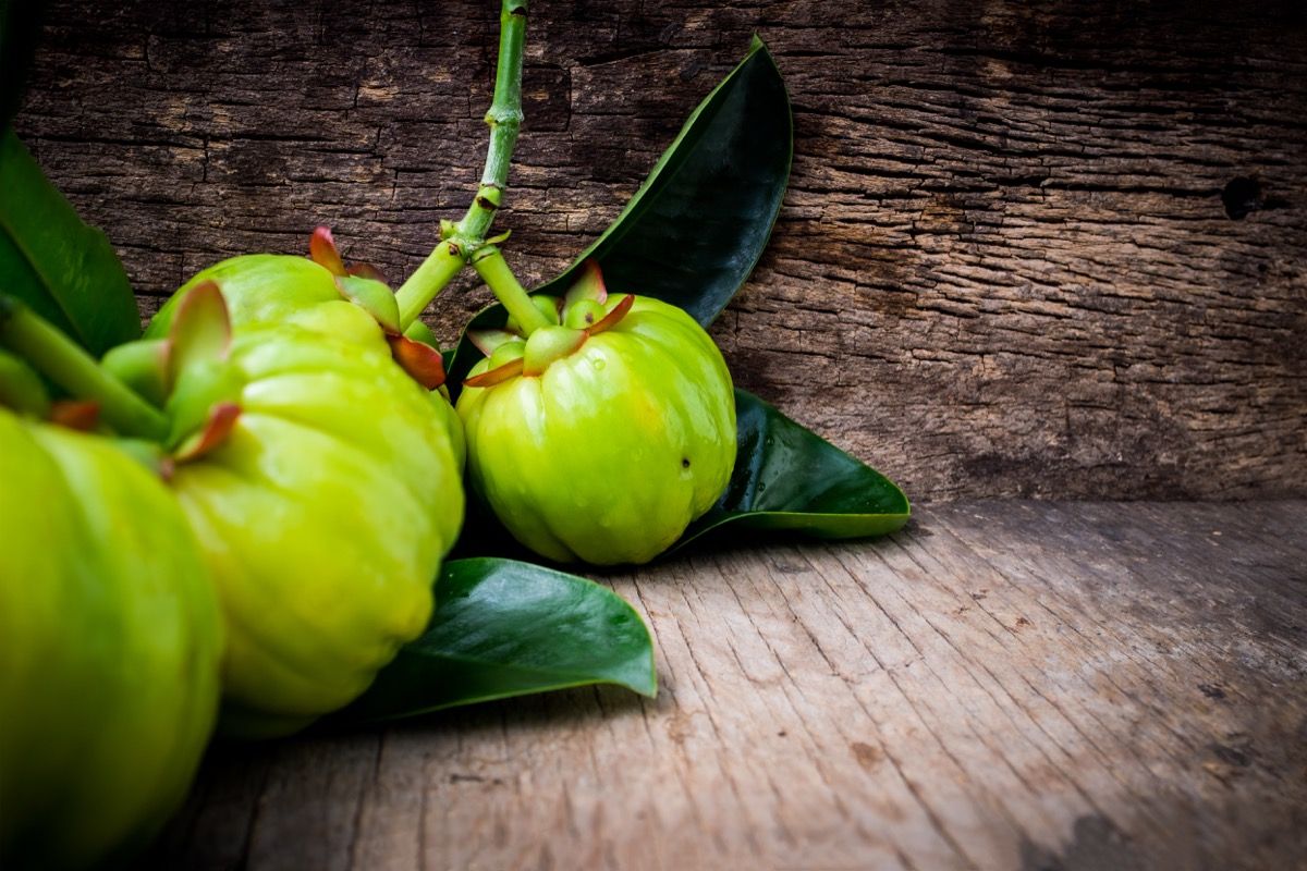 proprietà della Garcinia Cambogia