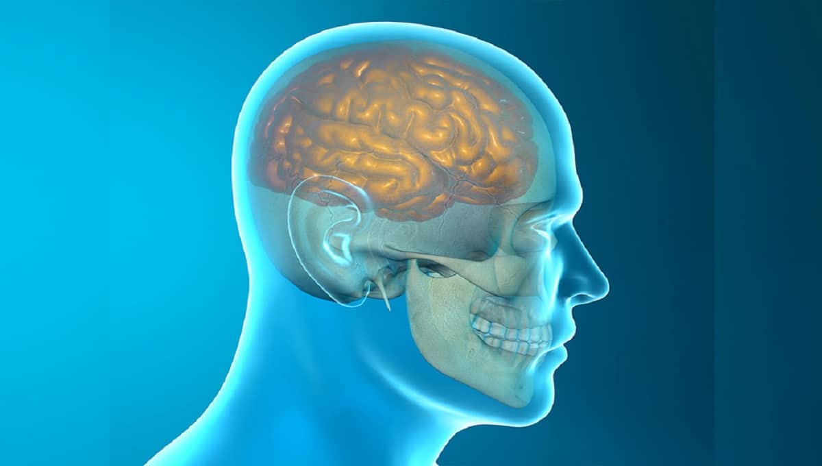 agenesia corpo calloso sintomi neonato come si cura la