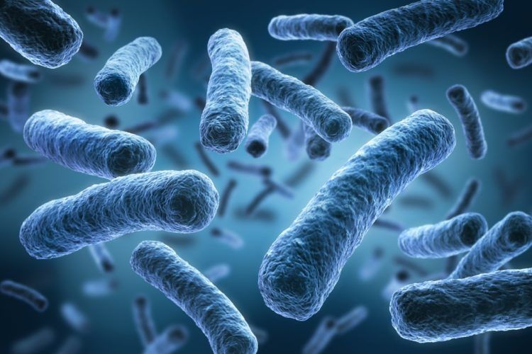 batteri intestinali elenco dieta più veloce ed efficace