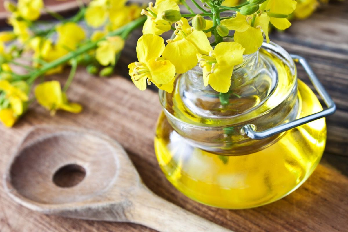 descrizione olio di colza