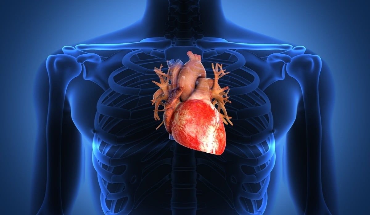 scompenso cardiaco scompenso cardiaco