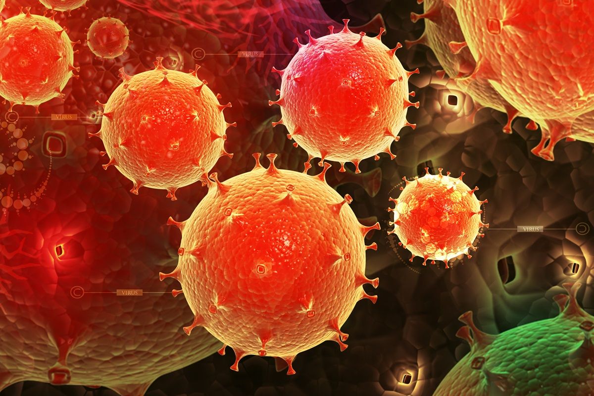 Papilloma virus, un virus che attacca la pelle e la muscosa delle parti