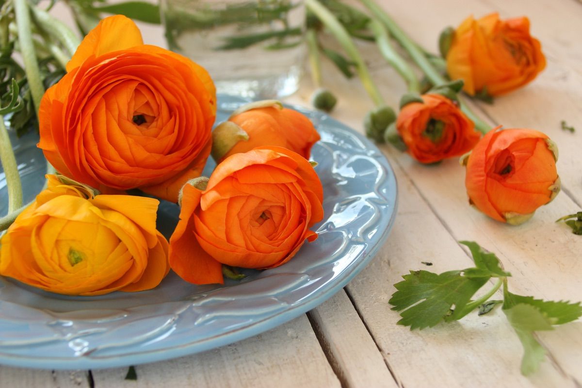 stupendo mazzo di fiori al mercato