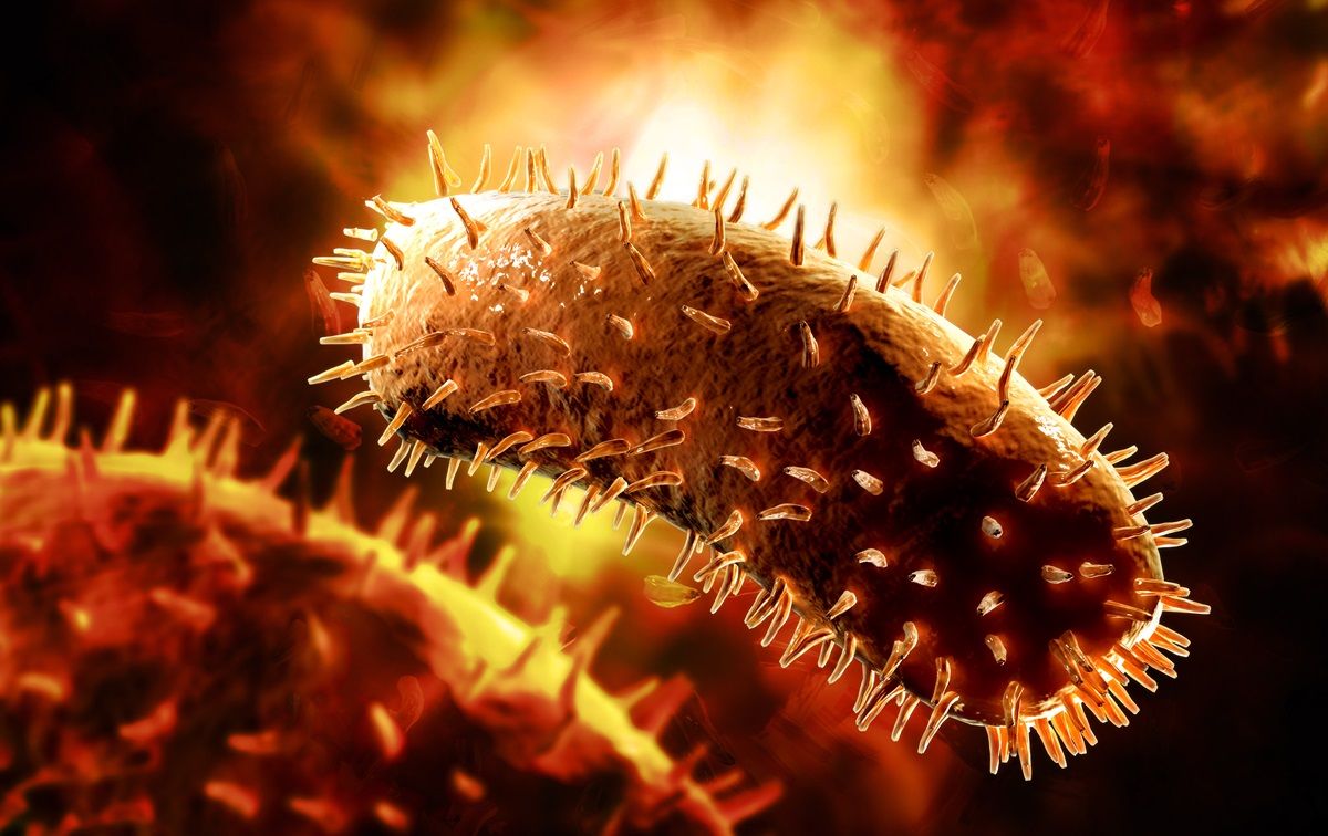 Papilloma virus, il contagio può portare raramente a conseguenze gravi