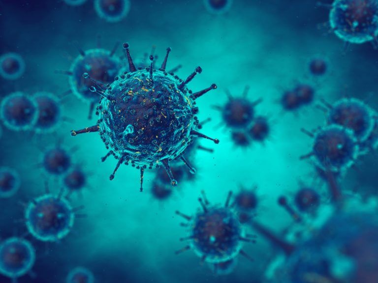 Papilloma virus, un virus che attacca la pelle e la muscosa delle parti