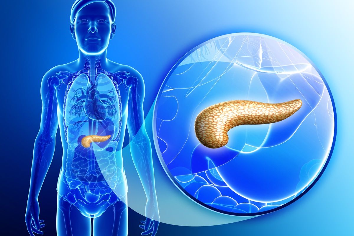 tumore al pancreas tumore al pancreas