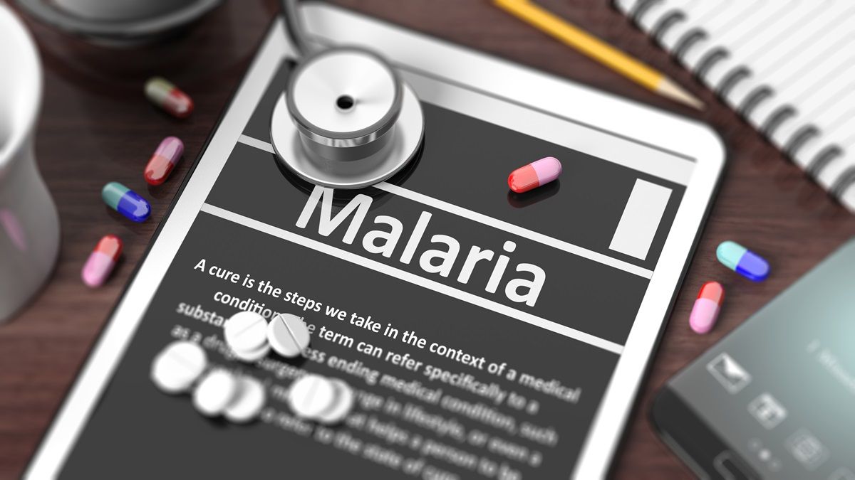 Cos'è la malaria