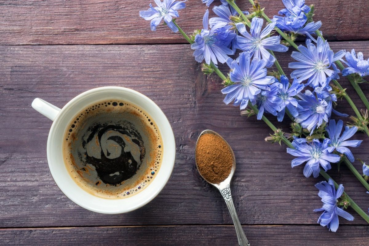 Come si prepara il caffè di cicoria