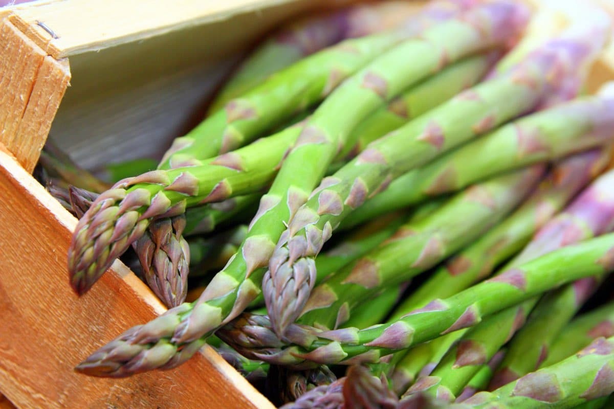 odore degli asparagi