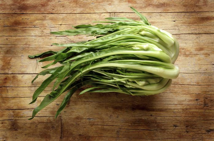 puntarelle puntarelle