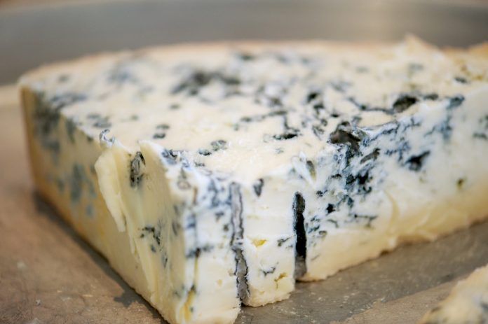 Gorgonzola Gorgonzola