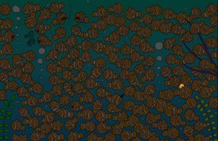 test visibilità pesce rosso