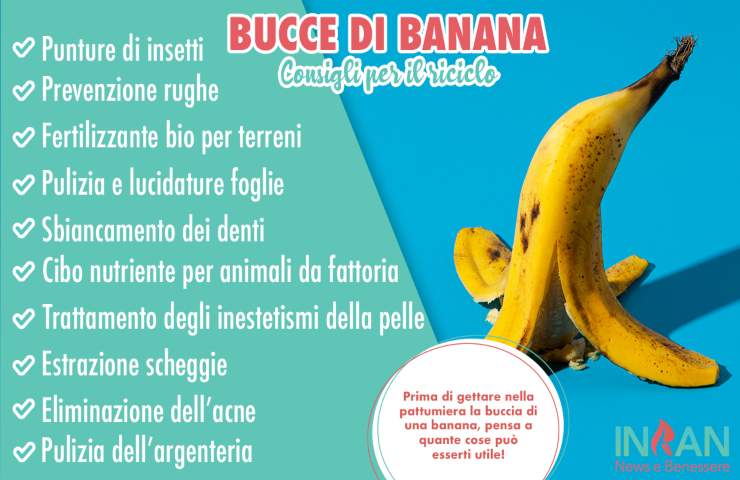 infografica bucce banana