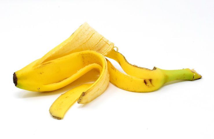 bucce banana 2