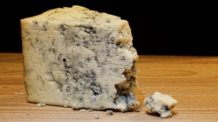 gorgonzola