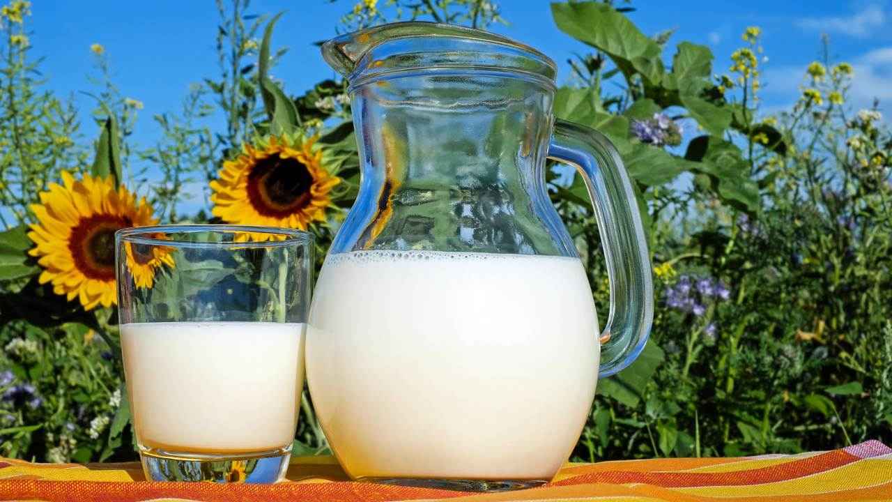 latte proprietà benefici