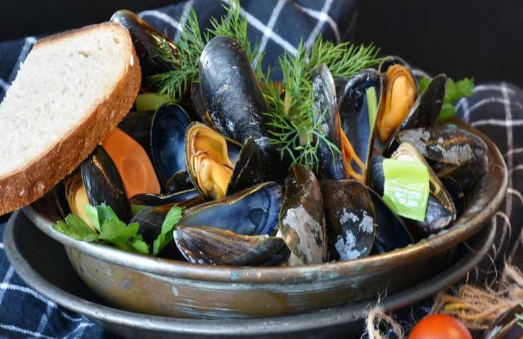 Allerta alimentare cozze ritirte 